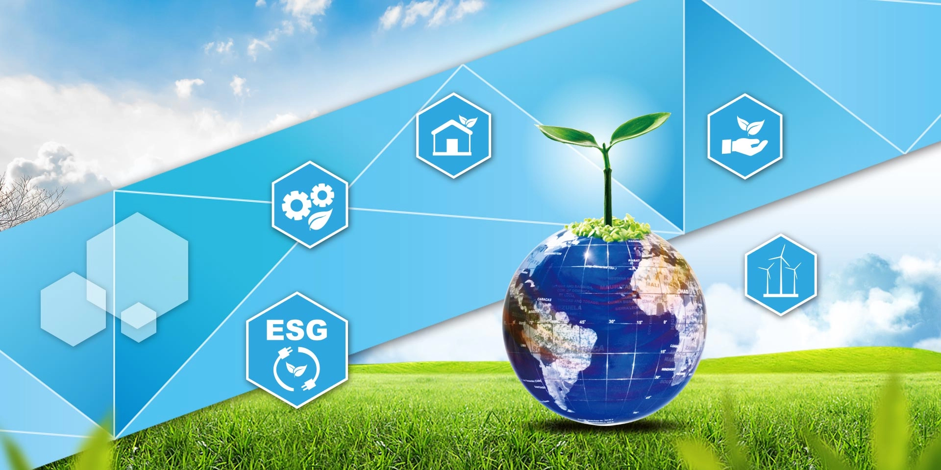 帝宏膠業股份有限公司