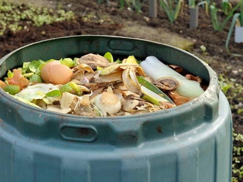生ごみ回収ボックス